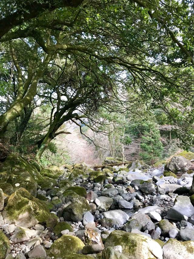 画像: 映画の世界みたいです