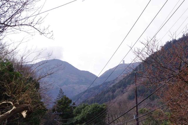 画像: しばらく歩くと箱根の山々が見えてきます。