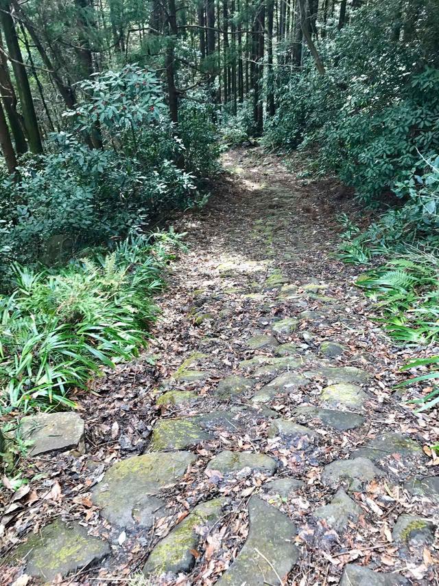 画像3: いよいよ箱根旧街道へ
