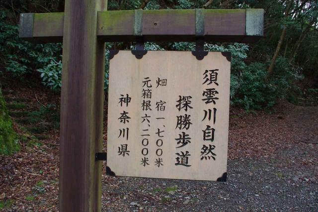 画像: 本格的な自然歩道はここから