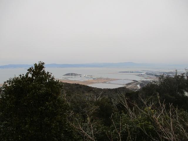 画像5: 来冬のツアーの素材を探して、渥美半島の山へ行ってまいりました!