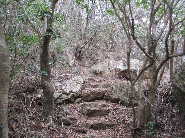 画像3: 来冬のツアーの素材を探して、渥美半島の山へ行ってまいりました!