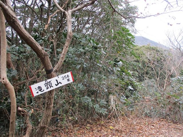 画像7: 来冬のツアーの素材を探して、渥美半島の山へ行ってまいりました!