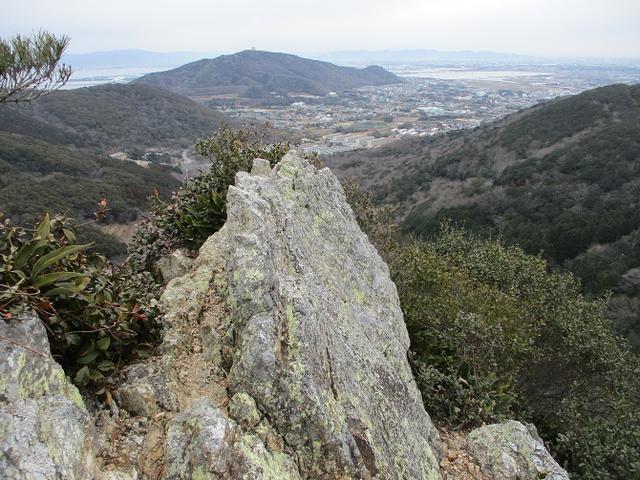 画像8: 来冬のツアーの素材を探して、渥美半島の山へ行ってまいりました!