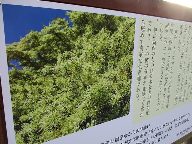 画像2: 来冬ツアーの素材を探して豊橋周辺の山を歩いてきました♪