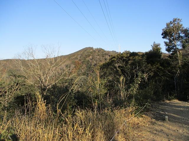 画像5: 来冬ツアーの素材を探して豊橋周辺の山を歩いてきました♪
