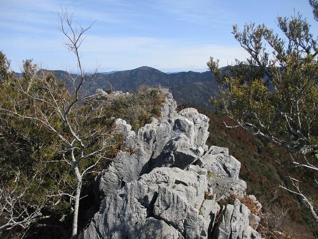 画像13: 来冬ツアーの素材を探して豊橋周辺の山を歩いてきました♪