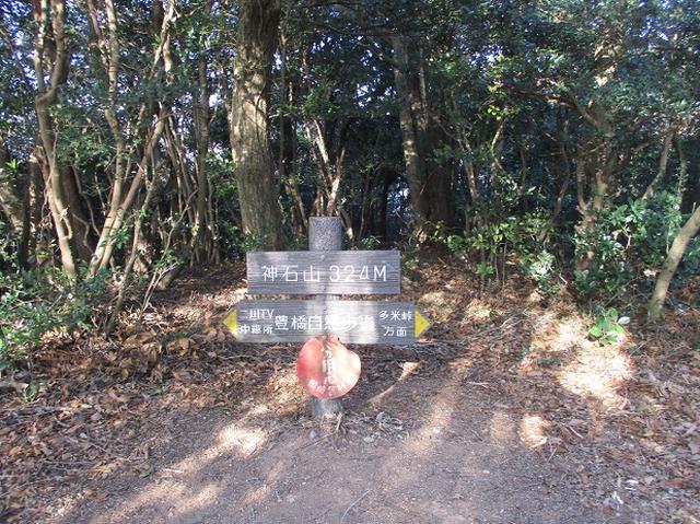 画像6: 来冬ツアーの素材を探して豊橋周辺の山を歩いてきました♪