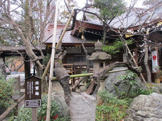 画像5: 2月11日に山旅会 都内の山 ツアーにいってまいりました!