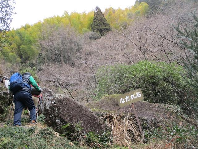 画像4: 1月8日に岡田ガイドと静岡県にたたずむ 石谷山 へ行って来ました♪