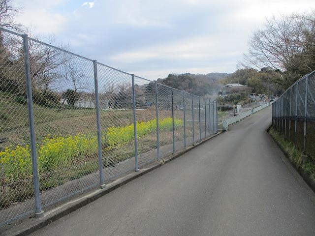画像4: 3月の山旅会 大楠山から衣笠城跡 ツアーの下見に行ってきました!