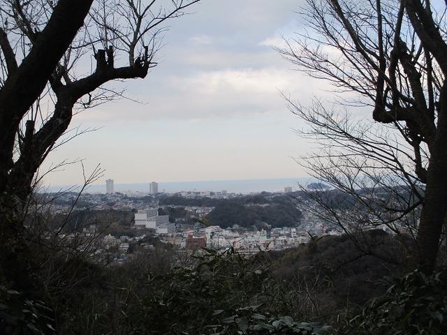 画像10: 3月の山旅会 大楠山から衣笠城跡 ツアーの下見に行ってきました!