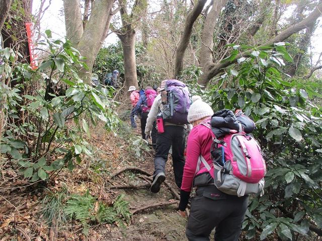 画像2: 2月16日に山旅会 「乳頭山から畠山」 ツアーに行ってきました!