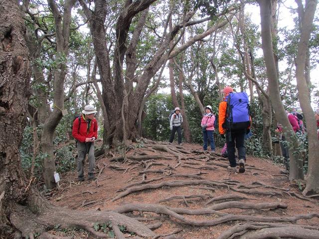 画像1: 2月16日に山旅会 「乳頭山から畠山」 ツアーに行ってきました!