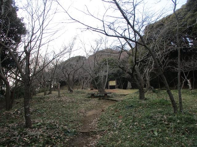 画像8: 3月の山旅会 大楠山から衣笠城跡 ツアーの下見に行ってきました!