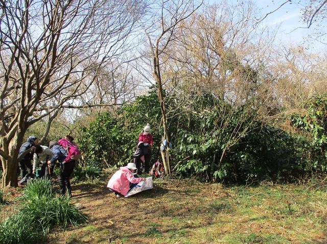 画像5: 2月16日に山旅会 「乳頭山から畠山」 ツアーに行ってきました!