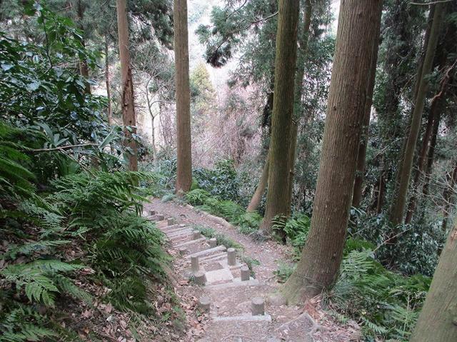 画像2: 3月の山旅会 大楠山から衣笠城跡 ツアーの下見に行ってきました!