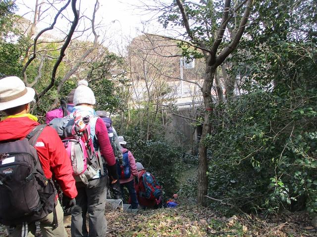 画像7: 2月16日に山旅会 「乳頭山から畠山」 ツアーに行ってきました!