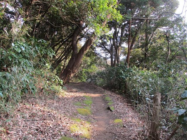 画像6: 3月の山旅会 大楠山から衣笠城跡 ツアーの下見に行ってきました!