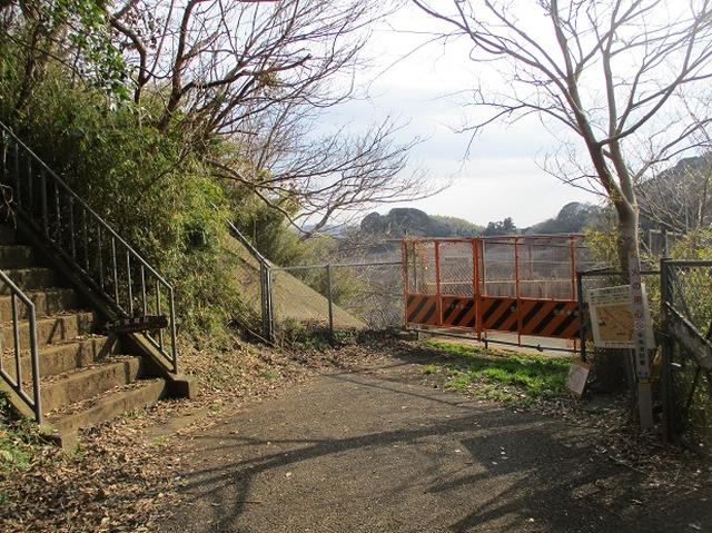 画像5: 3月の山旅会 大楠山から衣笠城跡 ツアーの下見に行ってきました!