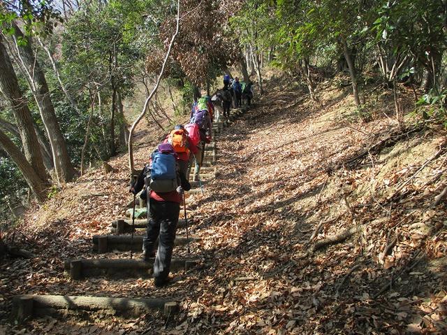 画像3: 2月18日に山旅会 「丹沢白山」 ツアーに行ってきました!