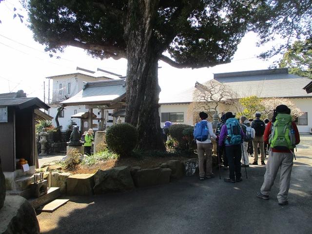 画像1: 2月18日に山旅会 「丹沢白山」 ツアーに行ってきました!