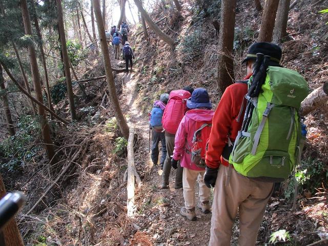 画像8: 2月18日に山旅会 「丹沢白山」 ツアーに行ってきました!