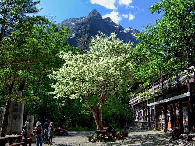 画像: 明神館と明神岳