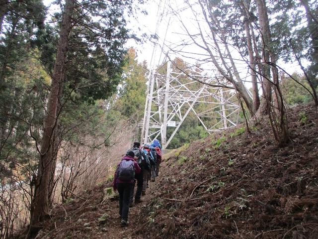画像4: 2月19日に山旅会 「シダンゴ山」 ツアーに行ってきました!