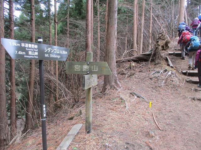 画像5: 2月19日に山旅会 「シダンゴ山」 ツアーに行ってきました!