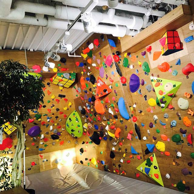 画像: VILLARS Climbing 有明店の内装