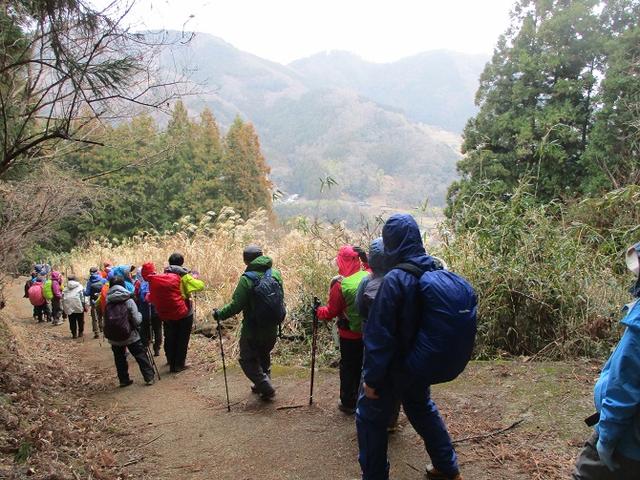 画像7: 2月19日に山旅会 「シダンゴ山」 ツアーに行ってきました!