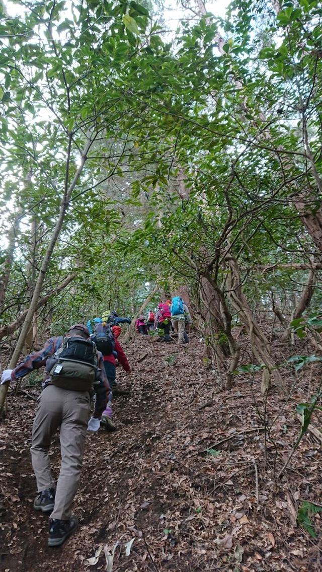 画像6: 2月17日に佐藤威行ガイドのツアーで曽我山へいってきました♪