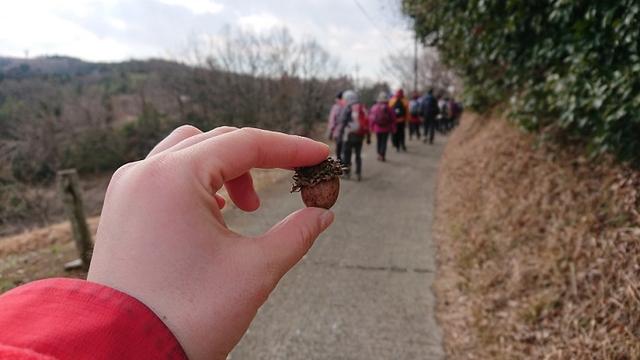 画像4: 2月17日に佐藤威行ガイドのツアーで曽我山へいってきました♪