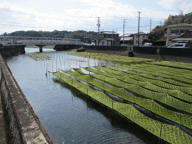 画像9: 3月の山旅会 「横山と朝熊ヶ岳」 の下見にいってきました!