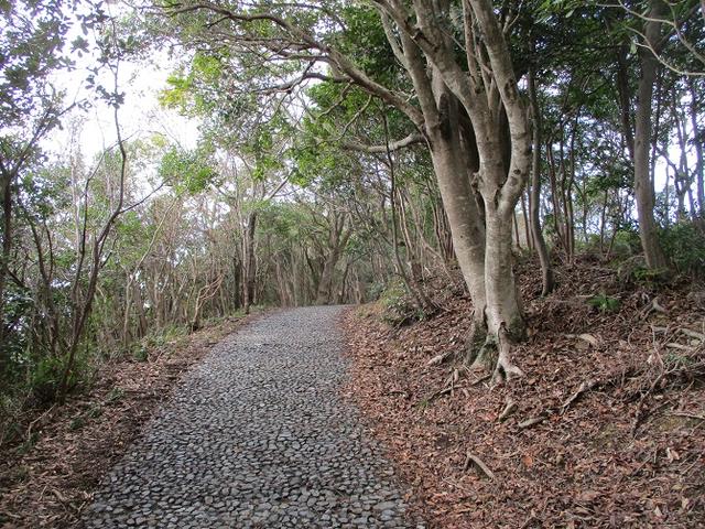 画像3: 3月の山旅会 「横山と朝熊ヶ岳」 の下見にいってきました!