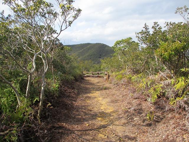 画像8: 3月の山旅会 「横山と朝熊ヶ岳」 の下見にいってきました!