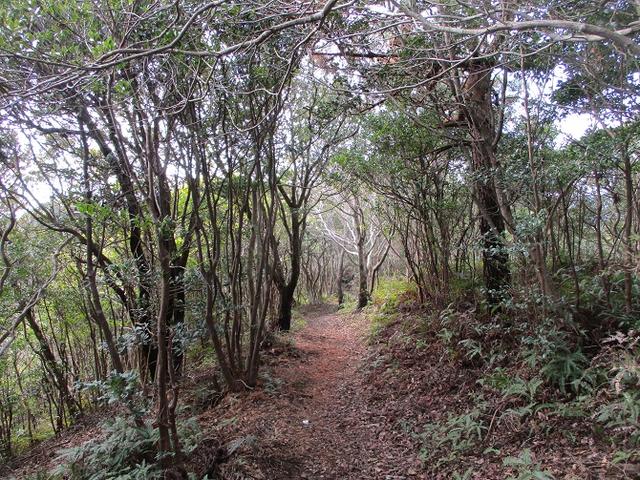 画像5: 3月の山旅会 「横山と朝熊ヶ岳」 の下見にいってきました!