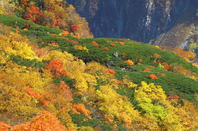 画像: カール上部から見下ろす紅葉