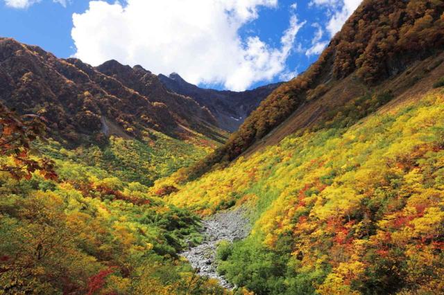 画像: 涸沢への登山道も紅葉に包まれます