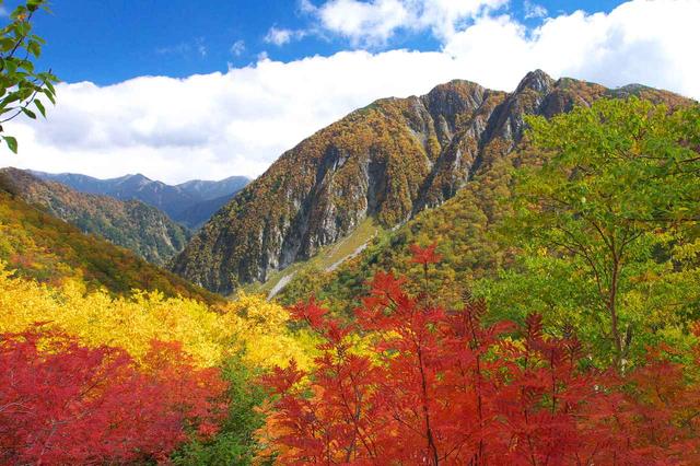 画像: 屏風岩も紅葉に染まります