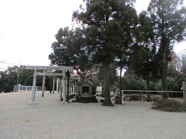 画像4: 3月の 「横山と朝熊ヶ岳」 ツアーの下見に行ってきました!