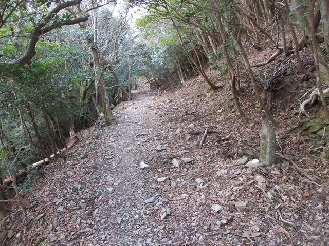 画像8: 3月の 「横山と朝熊ヶ岳」 ツアーの下見に行ってきました!