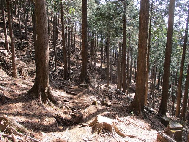 画像7: 3月の山旅会・現地集合 「高松山」 ツアーの下見に行ってきました!