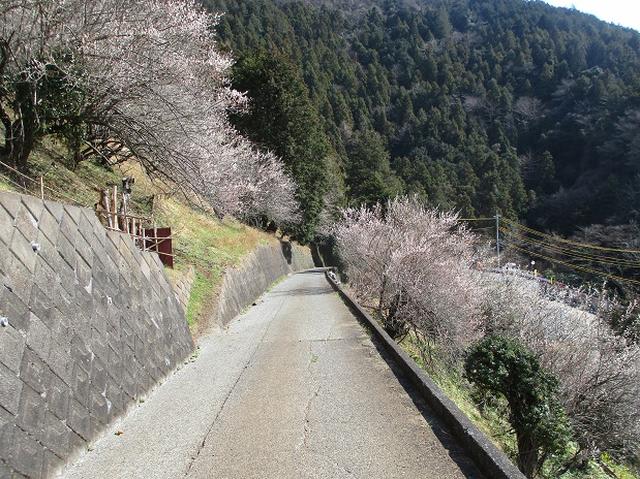 画像11: 3月の山旅会・現地集合 「高松山」 ツアーの下見に行ってきました!