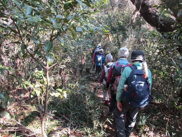 画像7: 2月23日に 山旅会 「仙元山から茅塚」 ツアーに行ってきました!