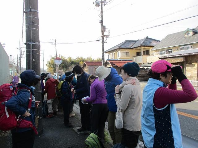 画像8: 2月23日に 山旅会 「仙元山から茅塚」 ツアーに行ってきました!