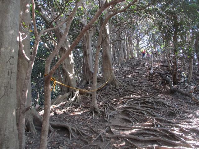 画像6: 2月23日に 山旅会 「仙元山から茅塚」 ツアーに行ってきました!