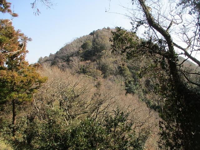 画像2: 2月23日に 山旅会 「仙元山から茅塚」 ツアーに行ってきました!