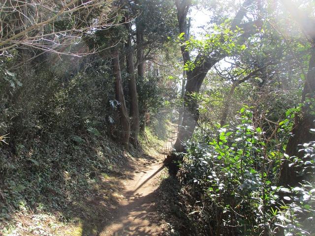画像4: 2月23日に 山旅会 「仙元山から茅塚」 ツアーに行ってきました!
